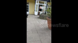 Newsflare Edit - Lockdown lemonade stand