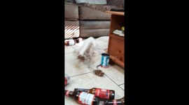 Luke Combs - When it rains it pours (dog edition)