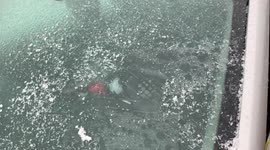 Winter and spring collide with freezing rain in South Dakota
