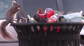 Trash bins overflowing in Burlington Ontario Canada parks as COVID 19  pandemic closures mean less or not maintenance as people are supposed to be staying home