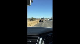 Zebra in safari park pranks car by standing in front of it every time it moves