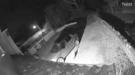 CCTV captures the moment a swan smashes into parked car in UK