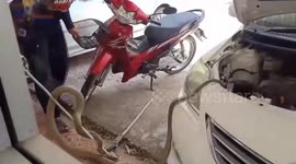 King cobra slither's into woman's car engine while she parks at hospital in Thailand