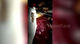 Conservation team remove fishhook trapped in turtle's throat in west India