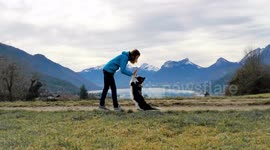 Border collie performs cute choreographed dance with her owner