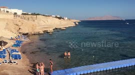 Morning Vlog In Red Sea Hilton Sharks Beach