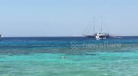 Summer Vlog In Sharm El Sheikh