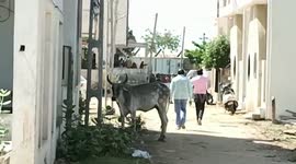47-year-old Mumbai returned man tests positive for coronavirus, throws entire housing society into lockdown with 12 people in quarantine in western India