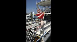 Dive boat charters in South Florida sit idle as coronavirus cripples tourism industry