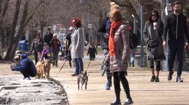 Hundreds attend Toronto park defying COVID-19 social distancing