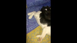 PLEASE DONT DISTURB ME I WANT SLEEP
