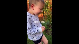 UK dad plants sweets onto bushes in their garden to his son's surprise