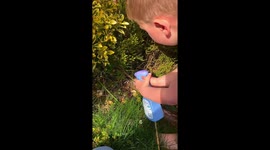4-year-old believes he grew 'magic' sweets/candy after planting sweets with his dad