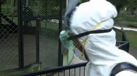 ANIMAL SAVINGS FROM CORONA VIRUS