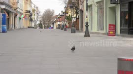 Animals under quarantine in Belgrade due to coronavirus