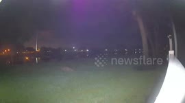 Fox outside my patio