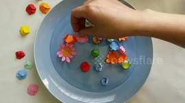 Simple tools create beautiful at-home blooming water garden amid quarantine