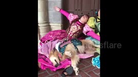 Heartwarming moment service dog in Disney World meets Cinderella’s step sisters