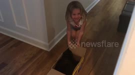 Cute toddler boxes up a cat
