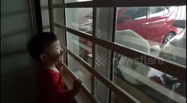 Hilarious moment of cat unnoticed the existence of a toddler