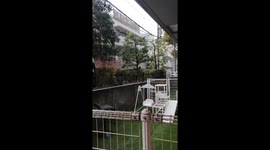 First time in History: Snowfall during the Sakura Cherry Blossoms in Japan