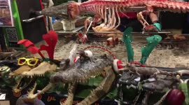 Extrime food with crocodile bbq
