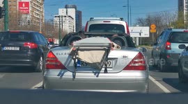 Aluminum stepladder in a two-seater sports car while other drivers laugh