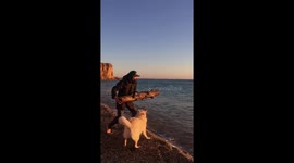 Dog pulls out the beam out of the water