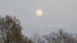 Pink Supermoon Seen Over London