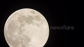 Watch the pink supermoon in crisp 4K resolution