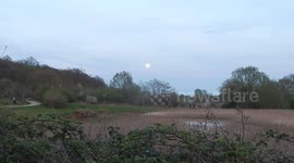 Largest Supermoon Of The Year