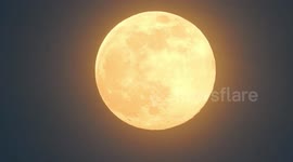 Largest Supermoon Of The Year