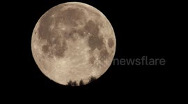'Pink' Supermoon setting in forest in swiss Alps