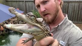 Meet the CROCODILE KING who lives with three rescued crocs in Texas