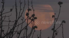 Super Pink Moon setting in San Sebastian (Spain) -  Puesta de Super Luna Rosa en San Sebastian