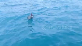 Thai Navy rescue four fishermen floating in the sea after boat capsizes