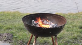 burning barbecue on the shore of the pond