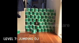 Aussie dog takes on the jumping toilet paper challenge during coronavirus lockdown