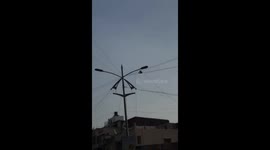Firemen rescue pigeon tangled up on powerlines in central India