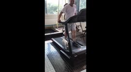 Treadmill walkies for dog and owner during COVID-19 lockdown in Thailand