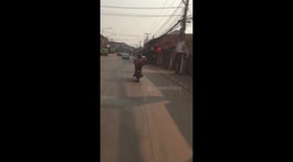 Doggo Goes To Market Riding Motorcycle