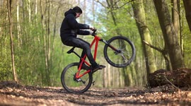 Man does cool tricks on Mountainbike in the woods