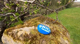 Painted stones for NHS appear in UK during COVID-19 lockdown
