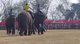 Jumbos flaunt their soccer skills during intense game in Nepal