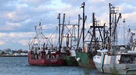 Jersey Shore: Haunting scene at commercial fishing marina as boats sit idle on Easter Weekend during COVID-19 pandemic