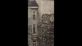 Fail / Win Lucky Squirrel climbs and falls down a huge building, saves it in the last second