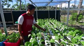 Home Gardening for Foodstuffs Facing the Corona Virus Pandemic