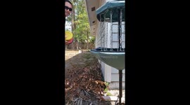 Florida man creates disc golf challenges. Slight error occurs