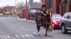 Yorkshire girl uses lock down exercise to walk her goat
