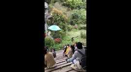 Train Your Parrot To Receive Money In Particularly